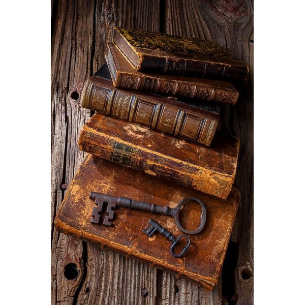 Brown bear printed sweater