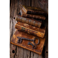 Brown bear printed sweater